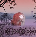 Seeking The Dying Light of Wisdom